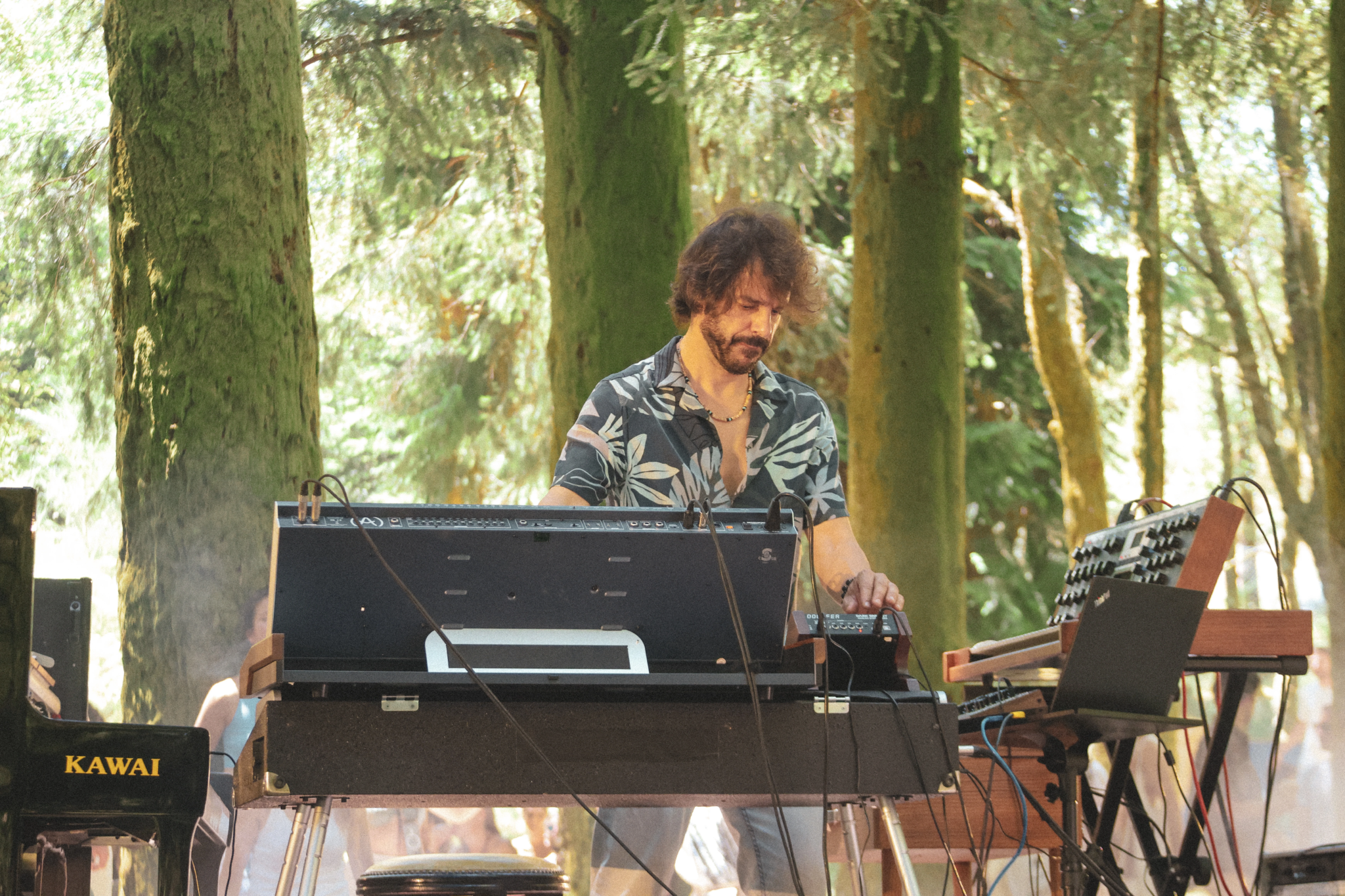 Festivals - Concerts