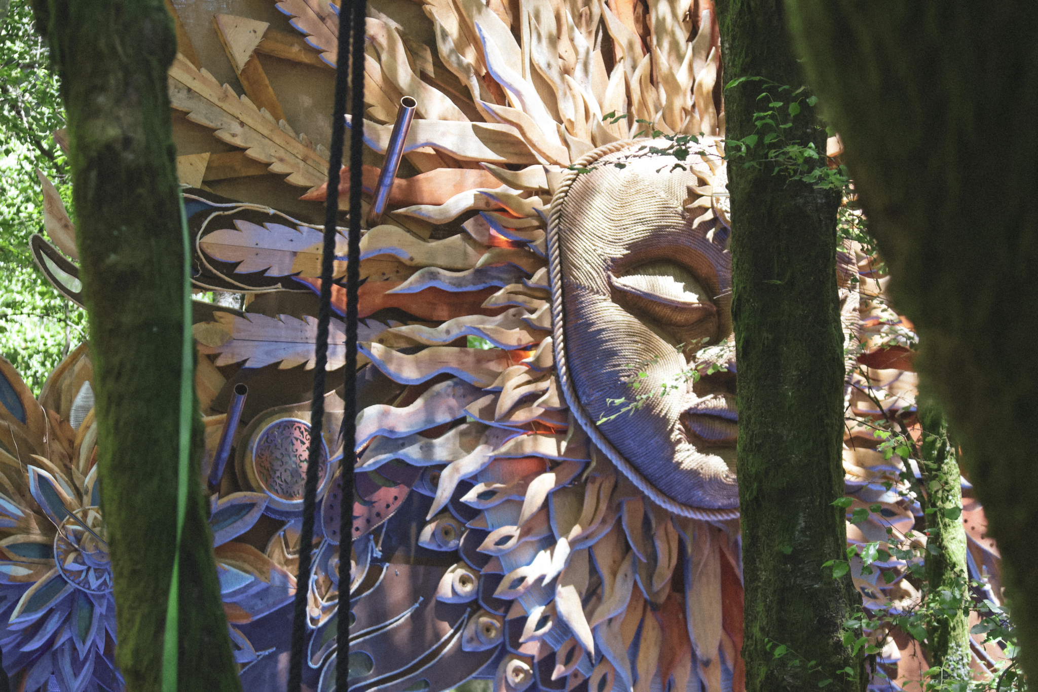 Portfolio - Festivals