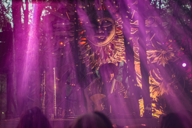 Festivals - Concerts