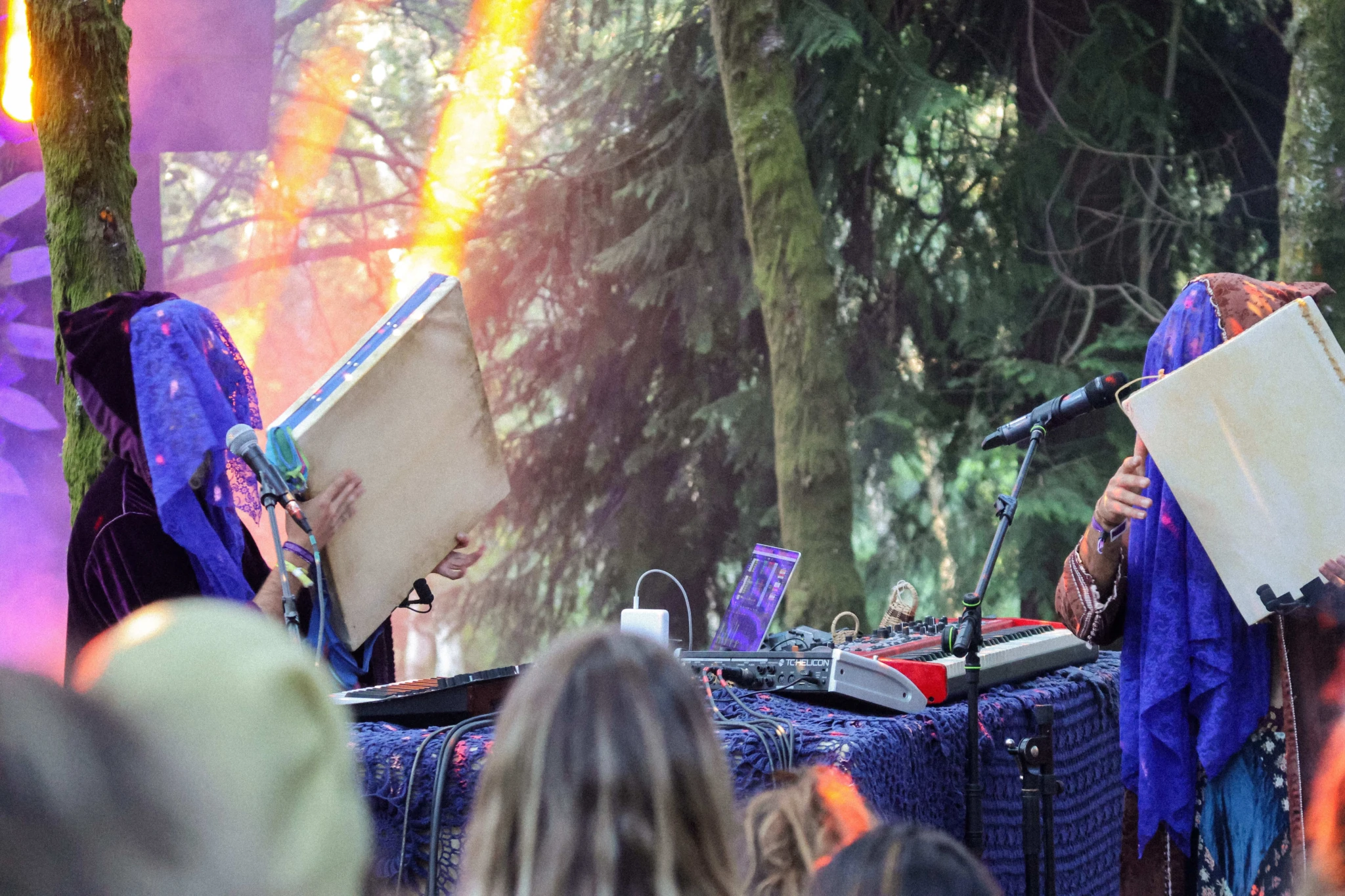 Concerts - Festivals