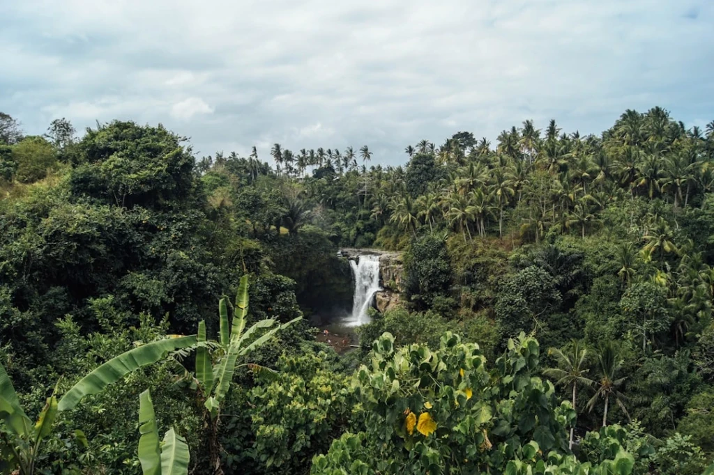 Tegenungan Waterfall Cascade - Bali, Indonesia