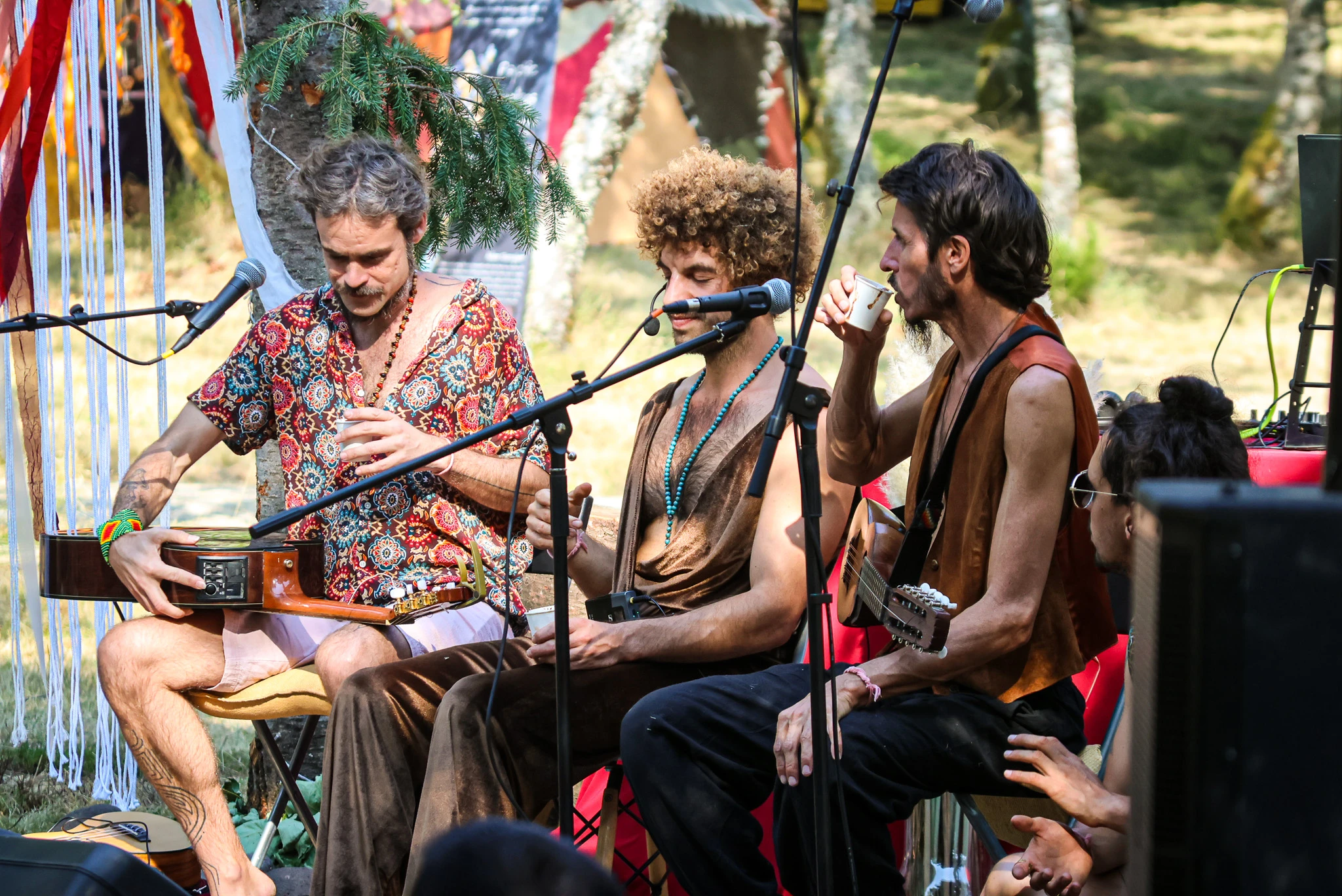 Festivals - Concerts